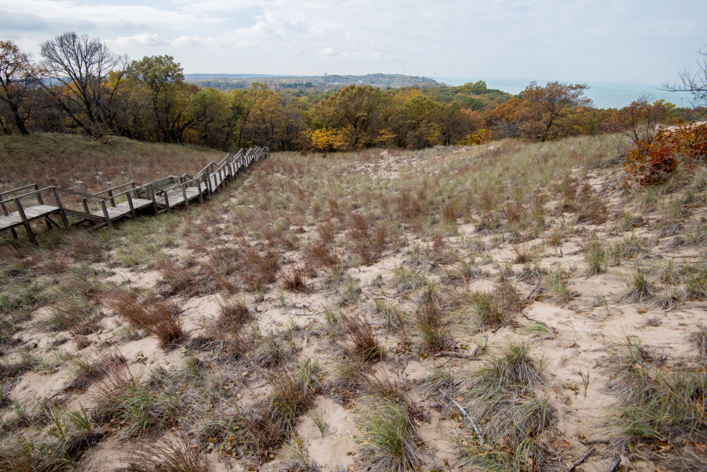 View of the Indiana Sand Dunes State Park in Chesterton, Indiana