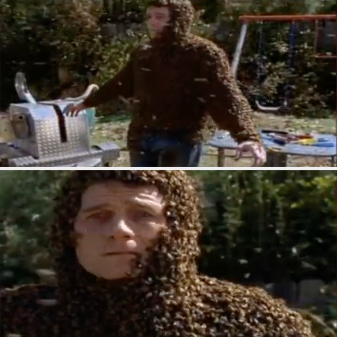 Hal looks terrified (and covered in bees)
