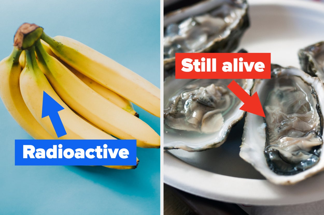 "radioactive" with an arrow pointing to bananas, then "still alive" with an arrow pointing to oysters