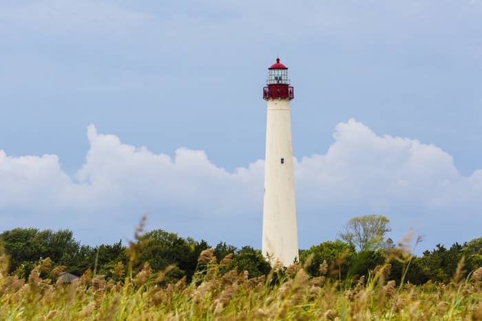 The lighthouse in Cape May, New Jersey which is near the area&#x27;s bird observatory