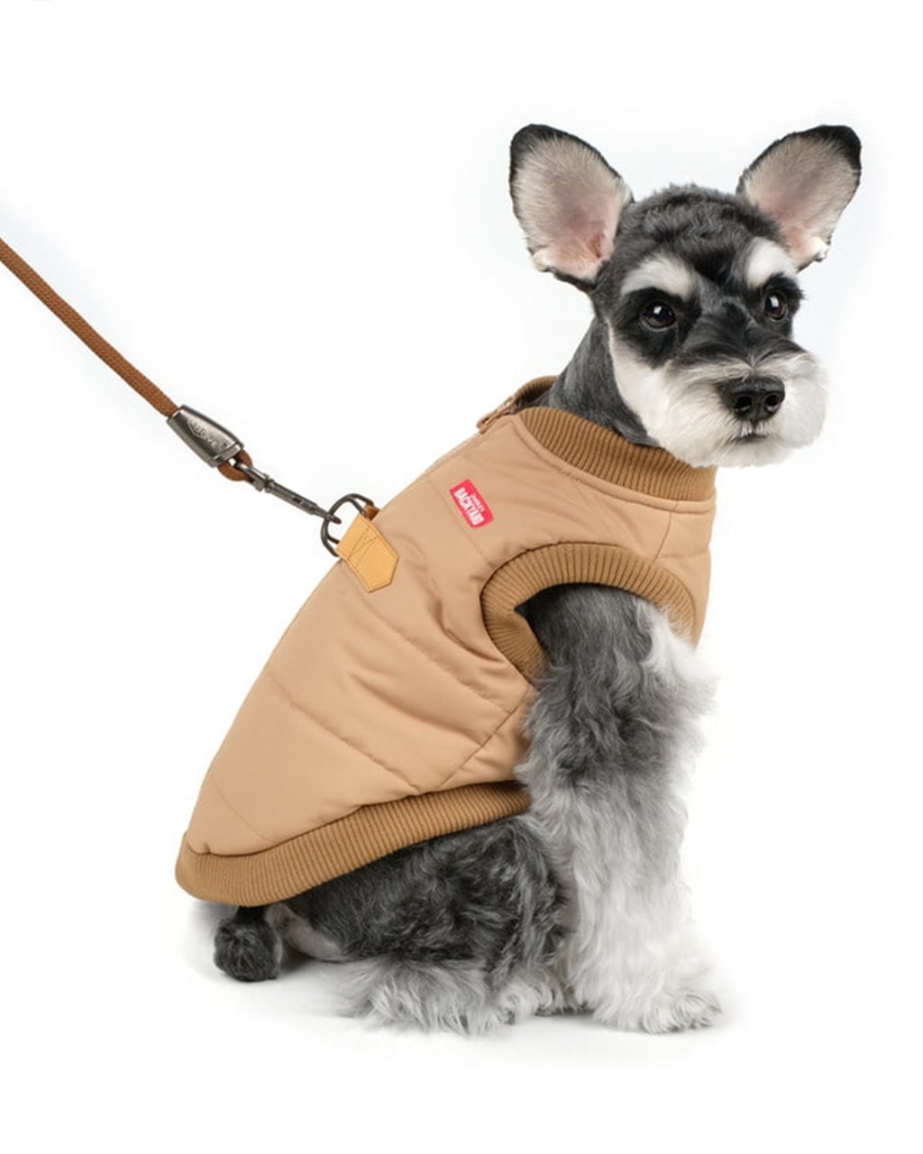 the jacket in beige on a small dog