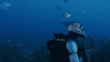 A man scuba diving  on &quot;Shark Week&quot;