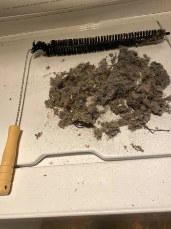 reviewer image of the dryer vent cleaner next to a pile of lint and dust