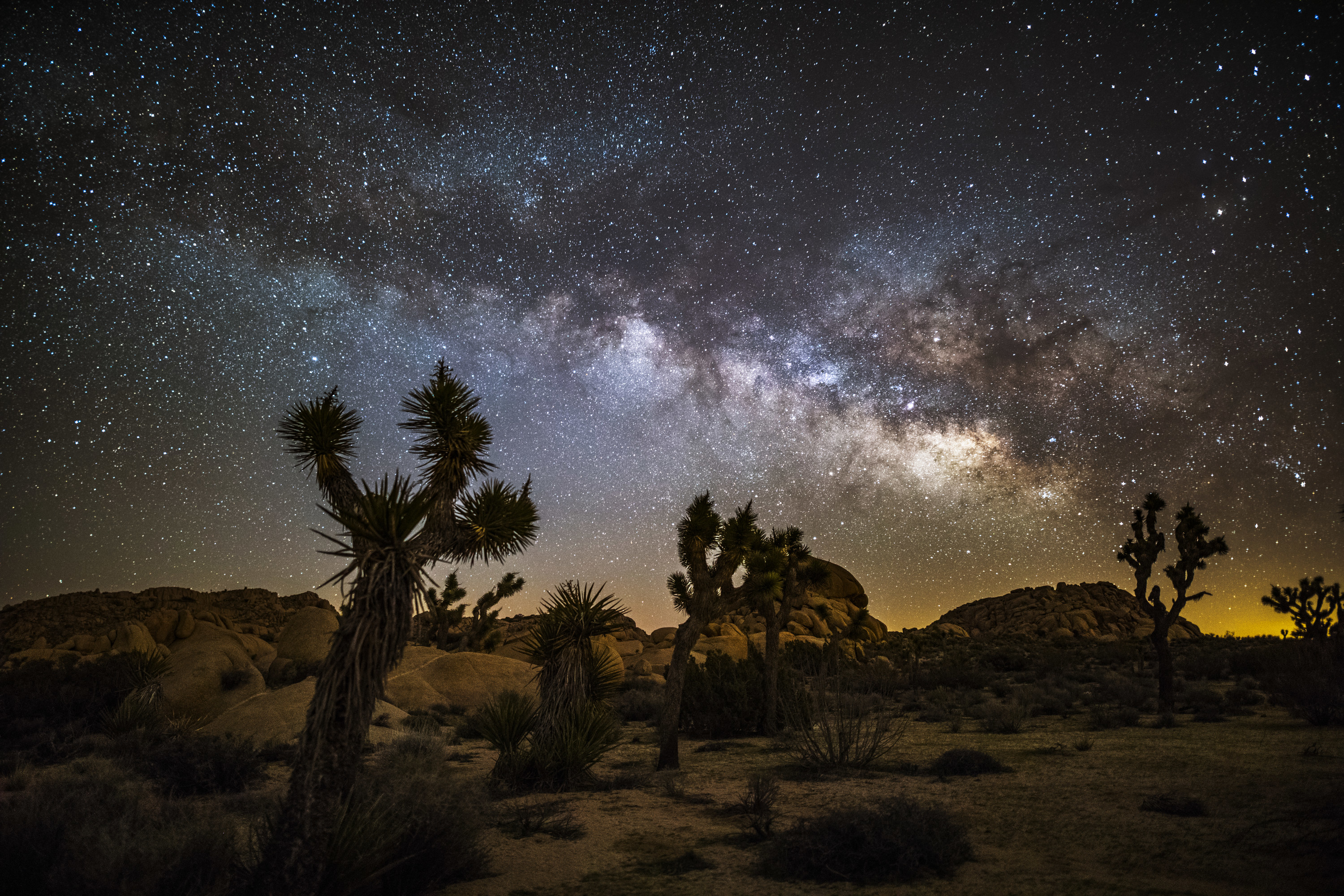 Evening view of the Milky Way in Joshua Tree National Park
