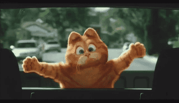 Garfield sliding down the back of a window
