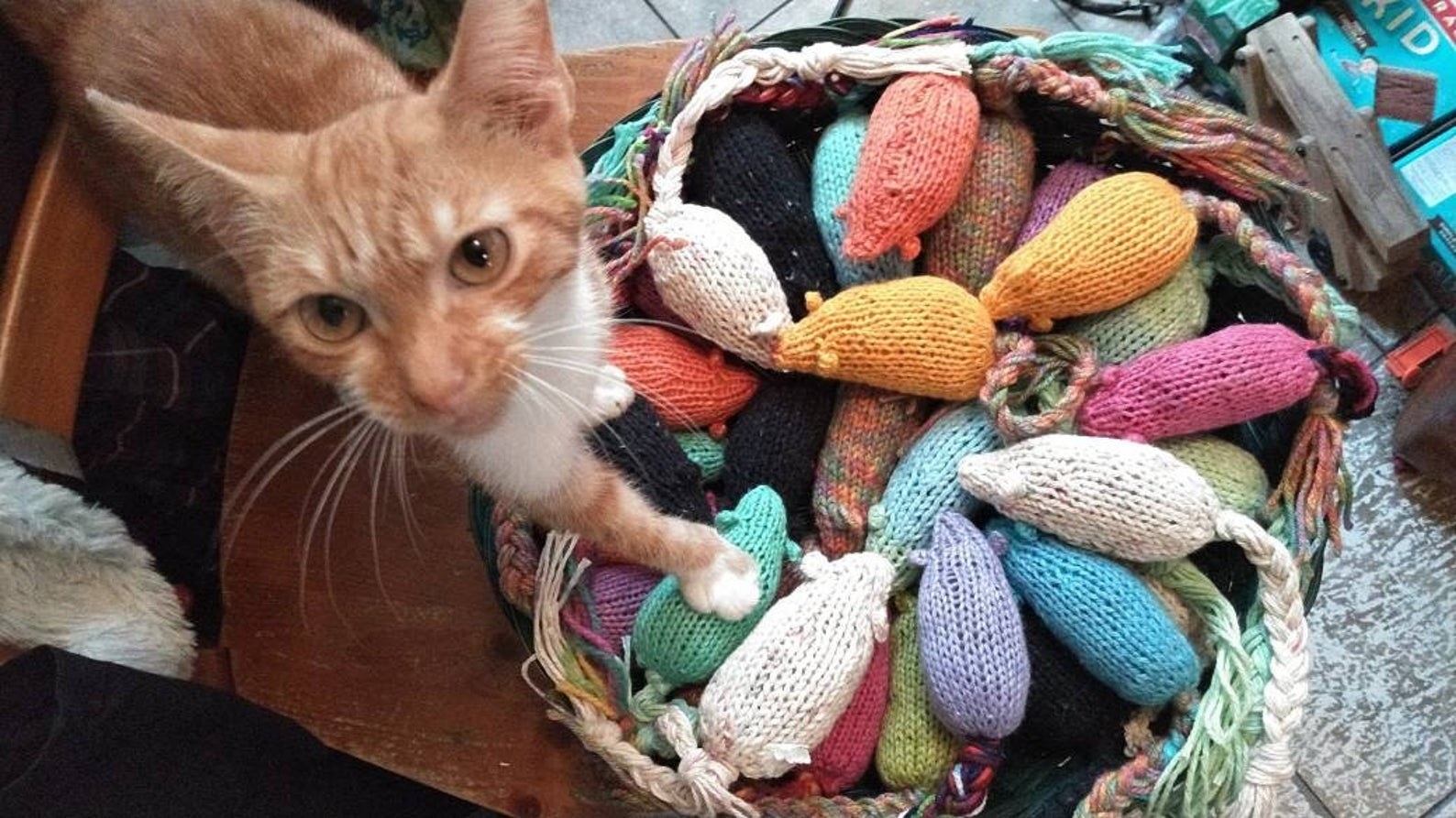 Cat touching pile of mouse-shaped yarn toys