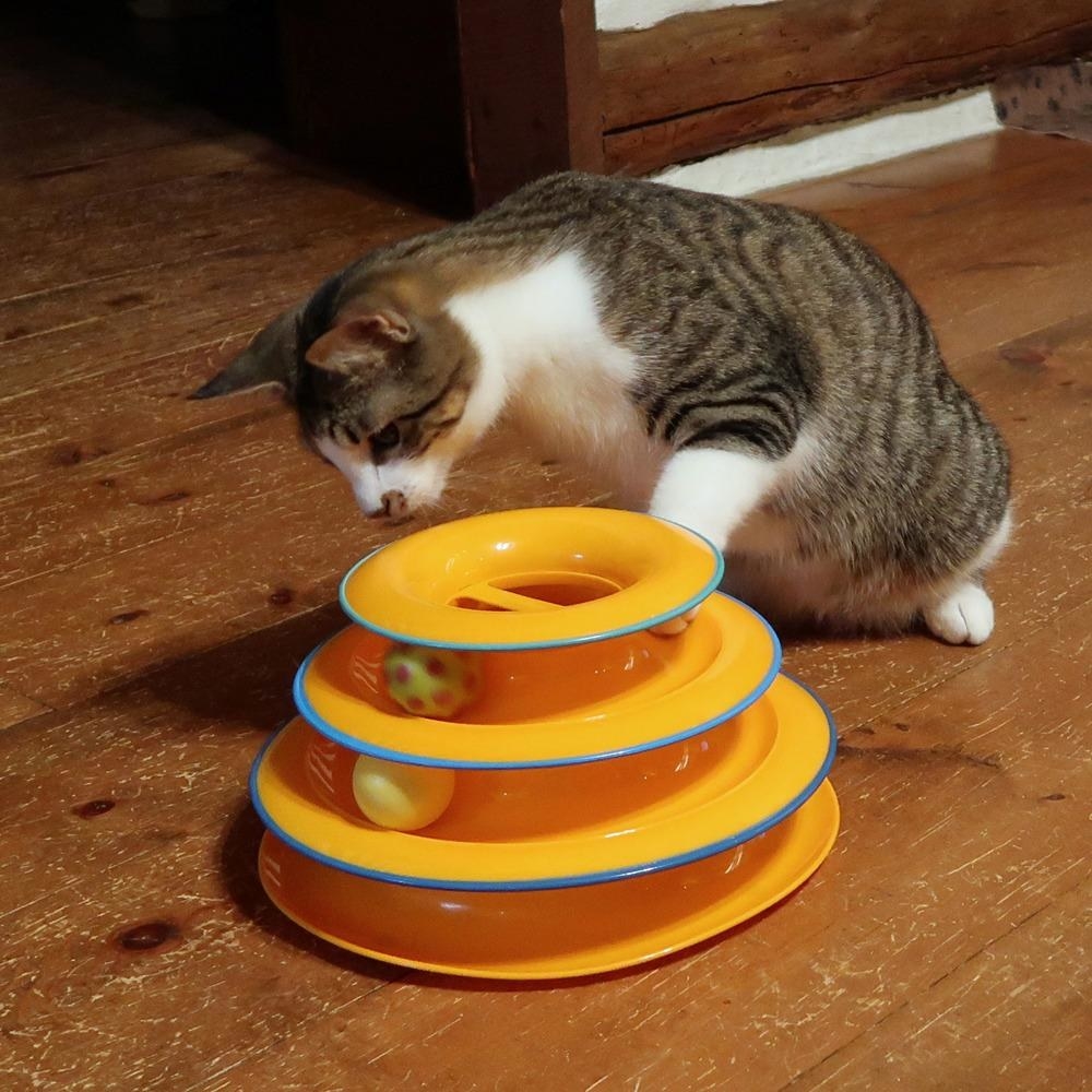 Cat playing with ball tower toy
