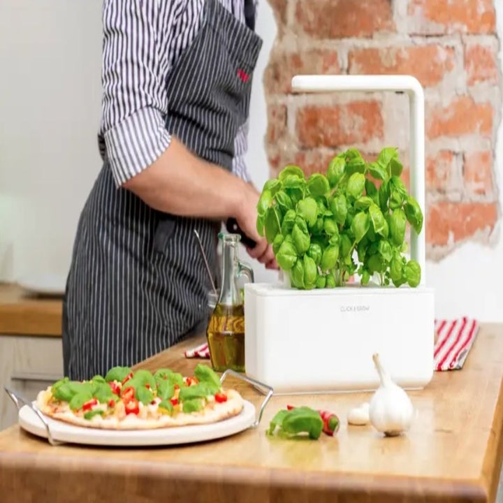 person standing next to the indoor garden with green plants growing out of it and a pizza on the counter next to it