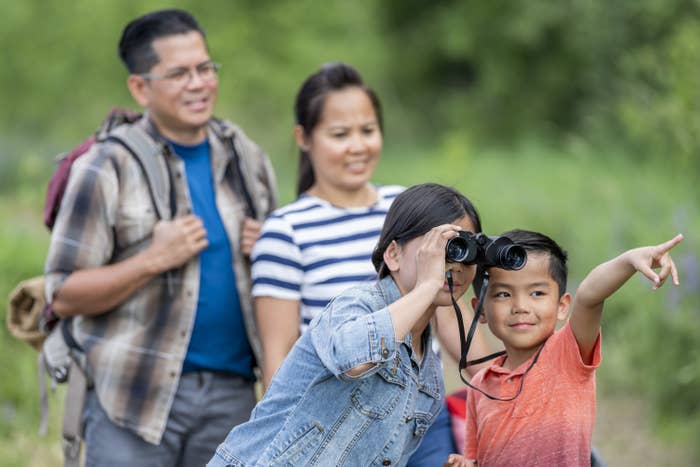 A family going birdwatching