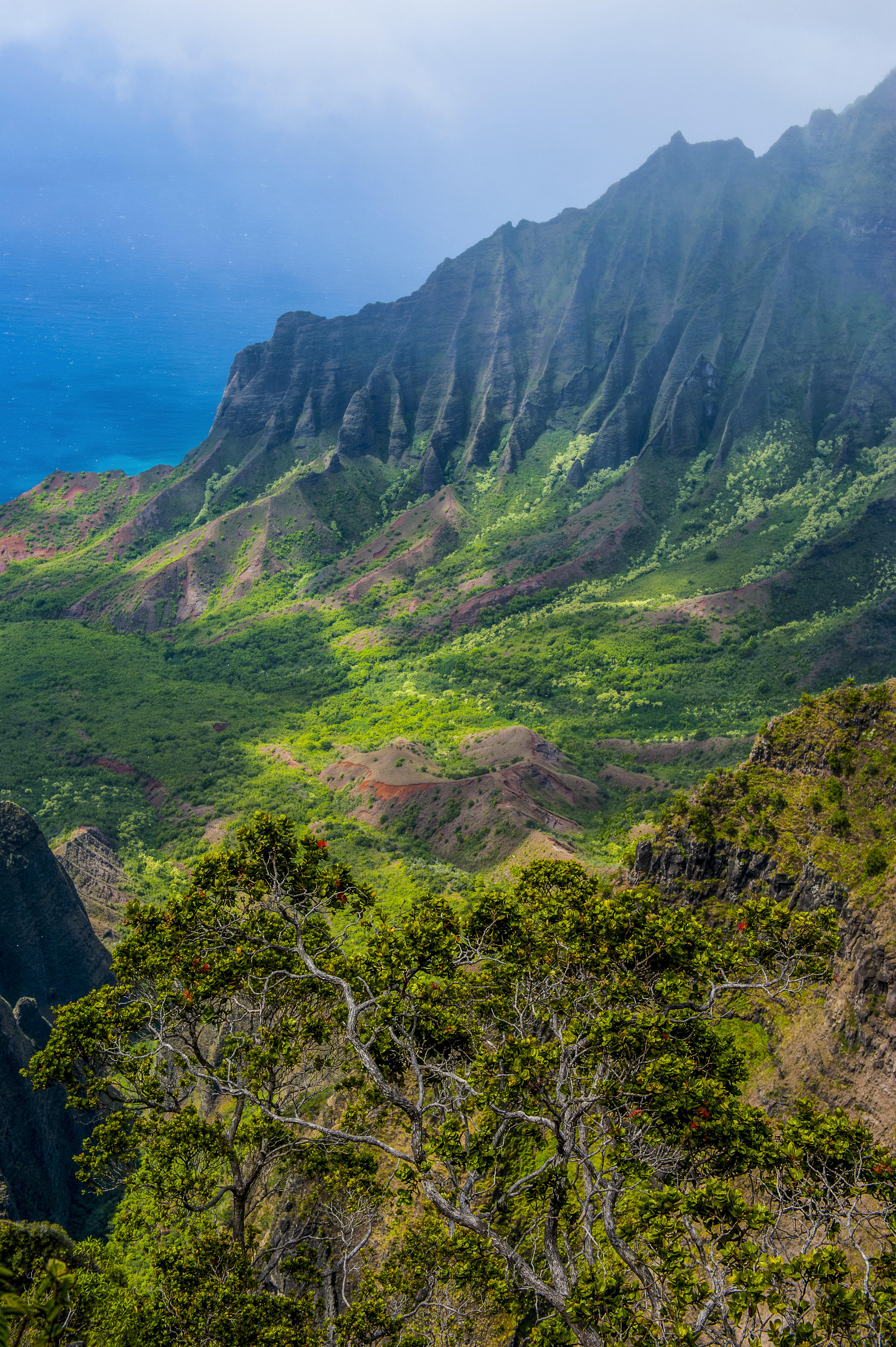 Koke&#x27;e&#x27; State Park in Hawaii