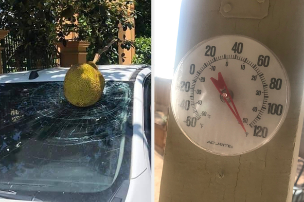 I'm an image I'm an image