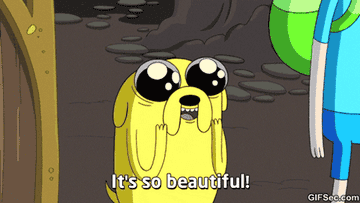 A gif of Jake The Dog from &quot;Adventure Time&quot; saying &quot;it&#x27;s so beautiful&quot;