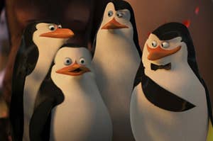Rico, Skipper, Kowalski, and Private stand side by side with Skipper wears a small bow tie