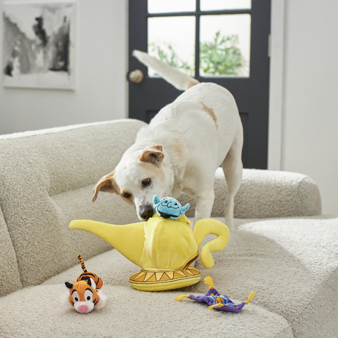 Dog playing with Aladdin magic lamp dog toy