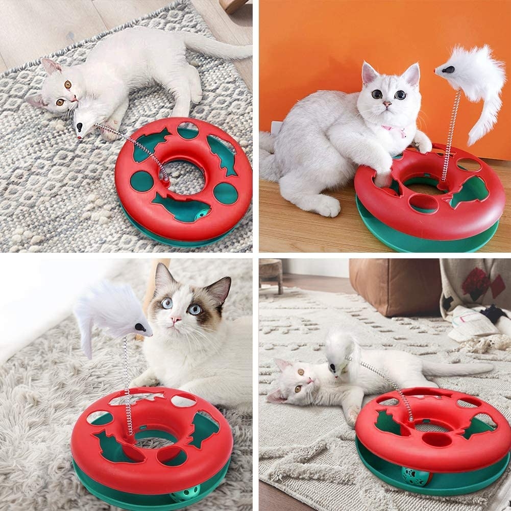 Collage of four cats playing with interactive cat toy