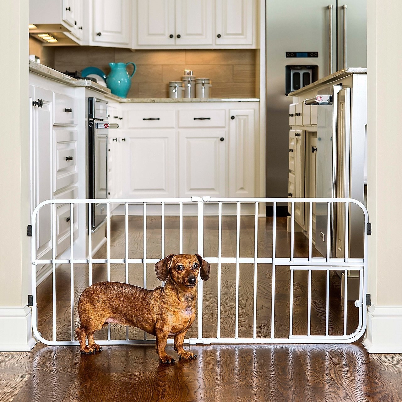 A dog standing next to the white gate, mounted between two walls