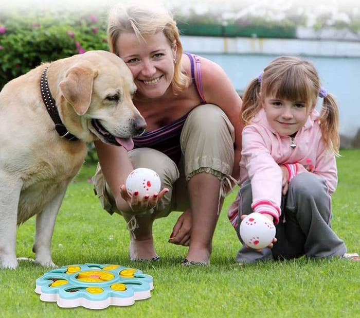 dog with owners and feeder