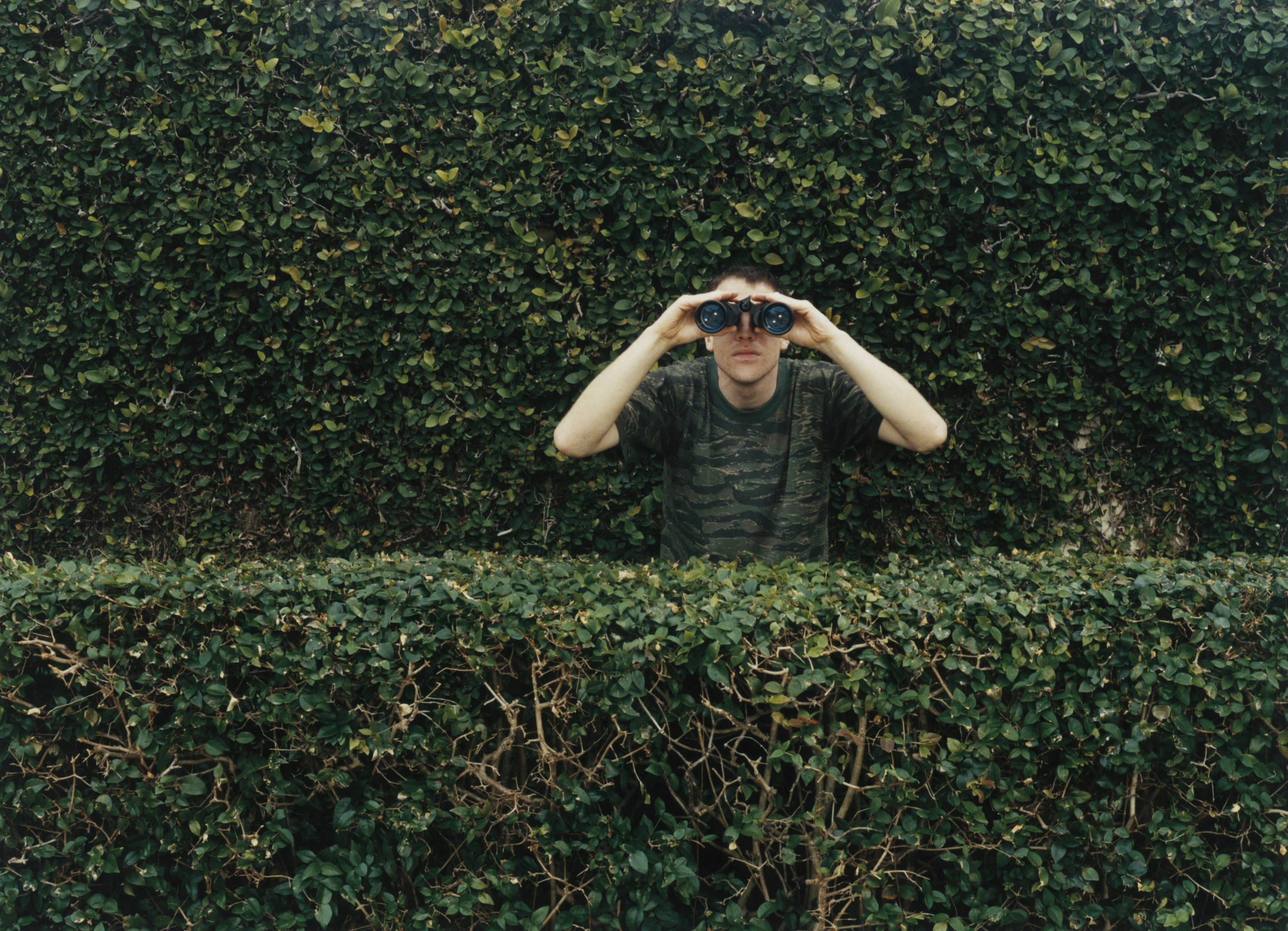 Front view of a man standing behind a row of hedges, a larger one behind him, looking through binoculars