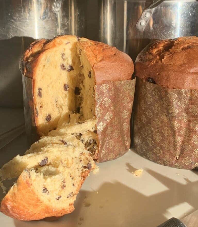Slice of panettone is torn off, showing the raisin-spotted inside of a panettone
