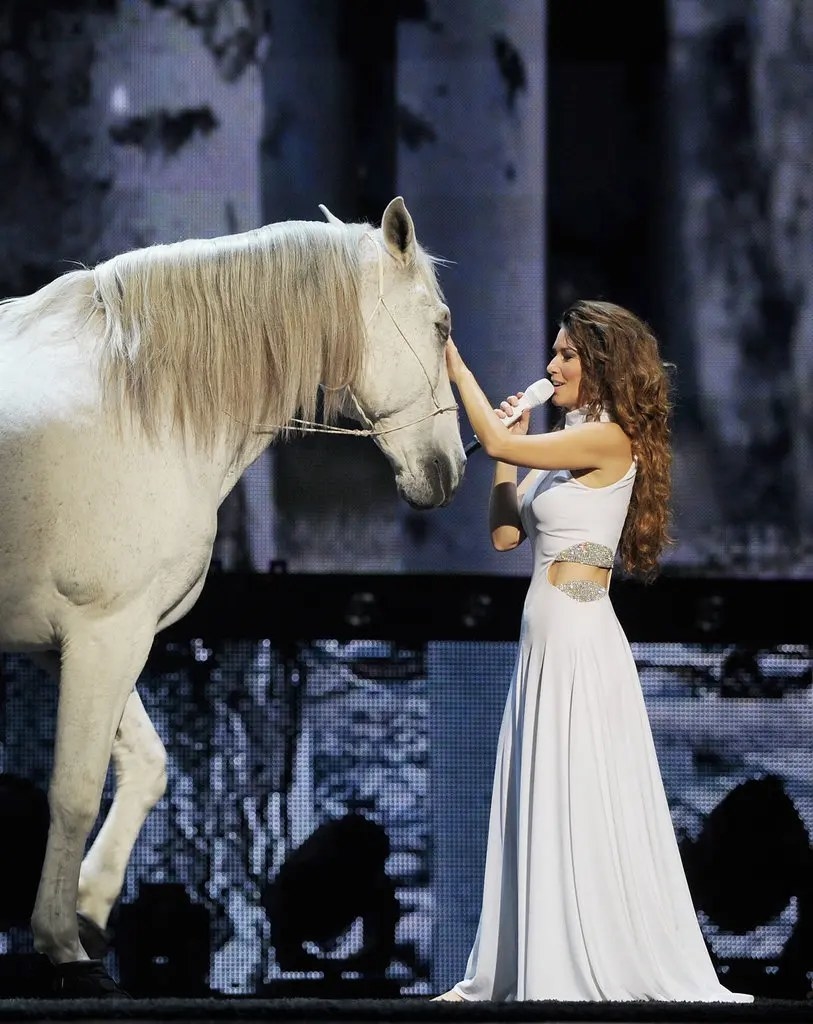 shania twain pets horse on stage in vegas