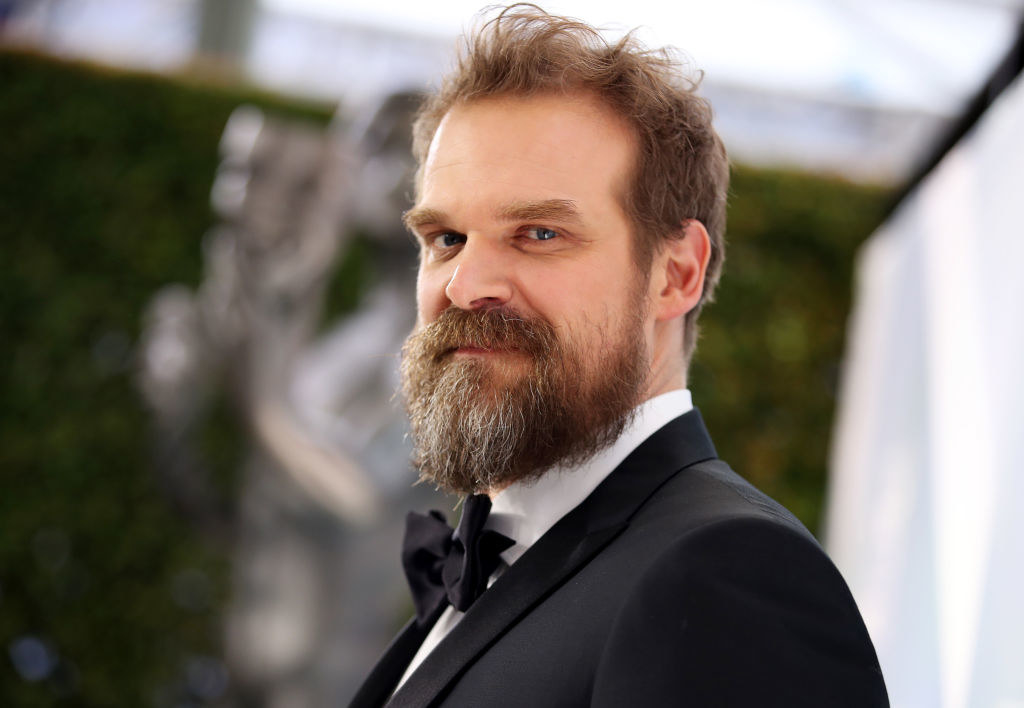 David Harbour attends the 26th Annual Screen Actors Guild Awards