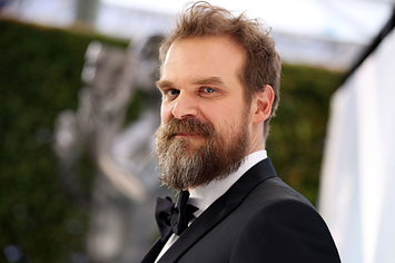 David Harbour attends the 26th Annual Screen Actors Guild Awards