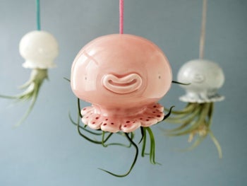 pink ceramic jellyfish with an air plant hanging from it that looks like the jellyfish legs. Yes. Adorable as heck.