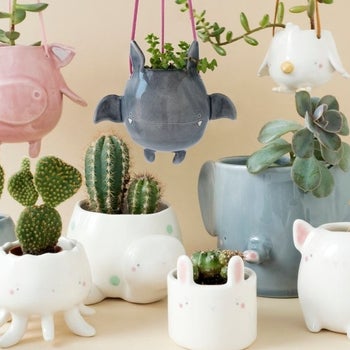 different planters in different sizes including the hanging bat planter, a piglet planter, and more