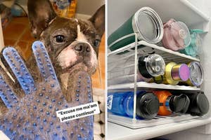 Frenchie and a grooming brush full of his hair and a water bottle organizer on a shelf