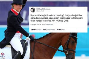 A horse and a screencap of a tweet