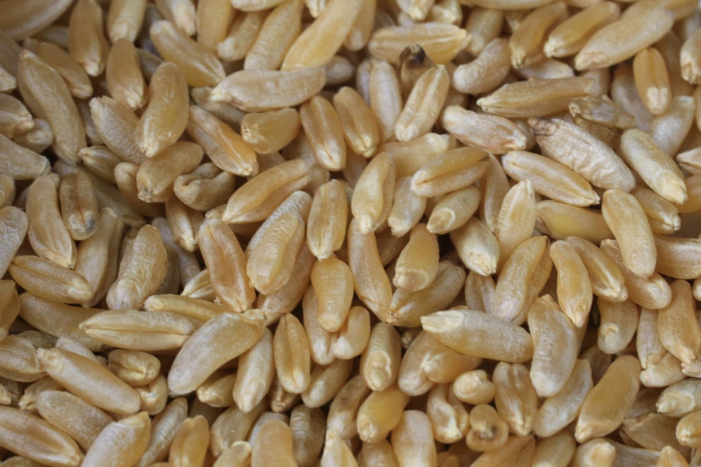 11 High Protein Grains & The Best Recipes To Make With Them