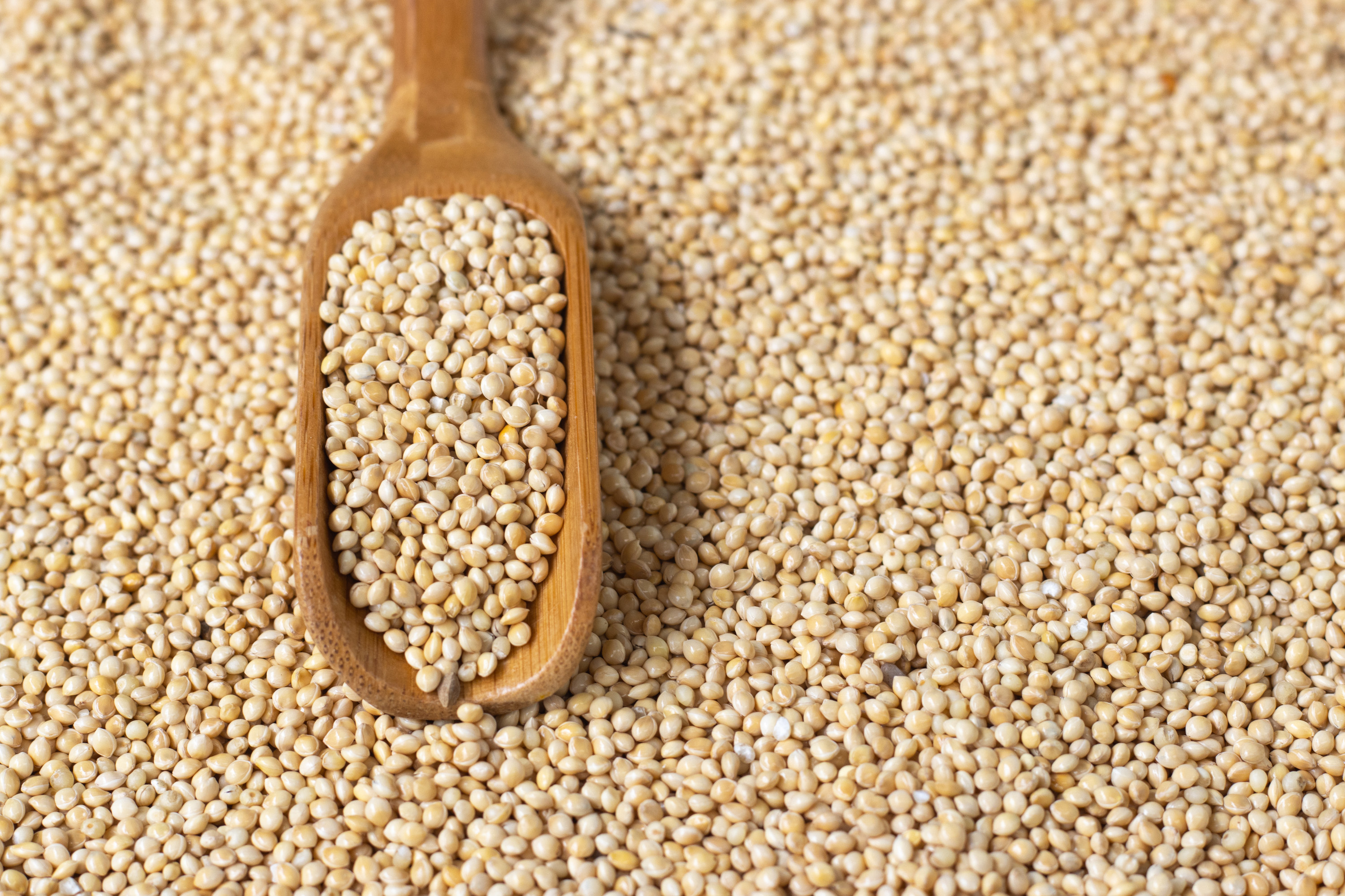 Millet in a spoon above bowl