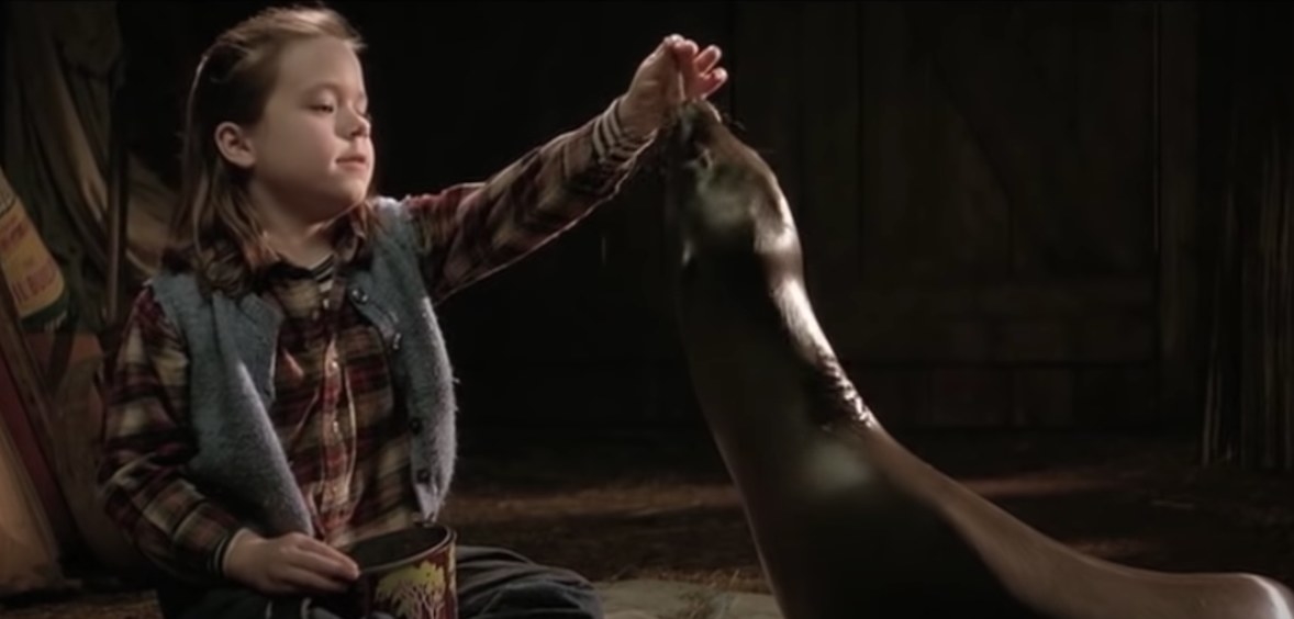 Toni, a little girl, feeds Andrew, a seal