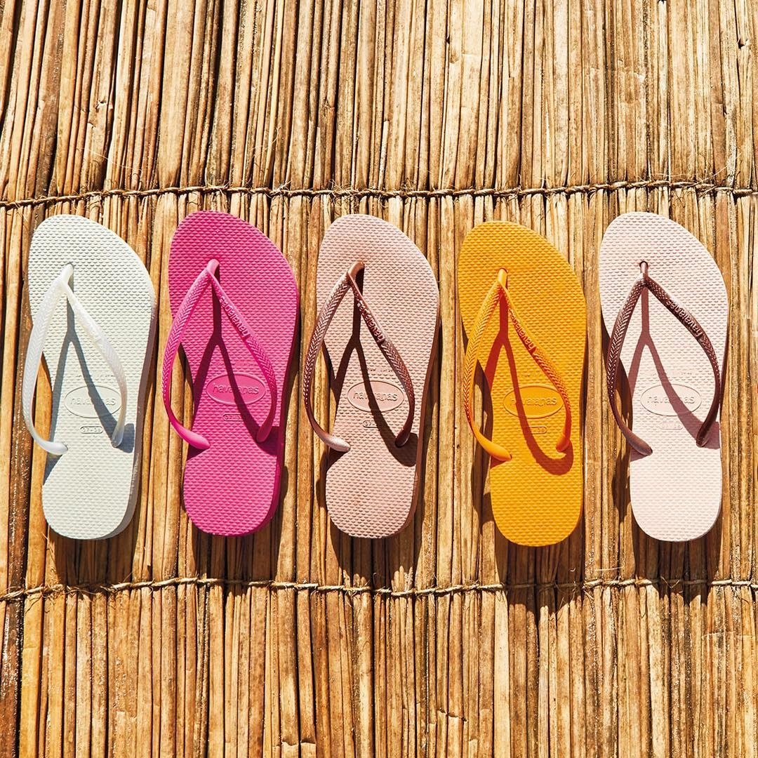 Several sandals lined up in a row