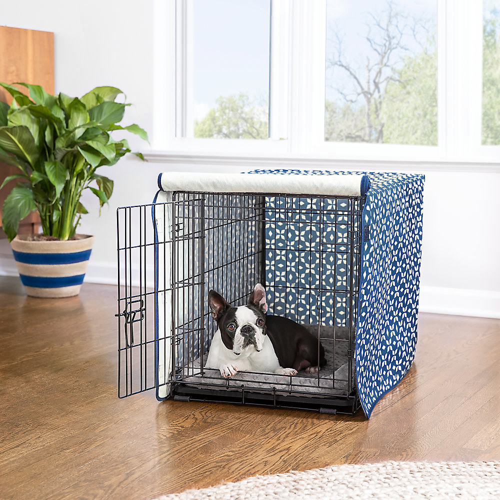 Dog in a crate with a blue crate cover