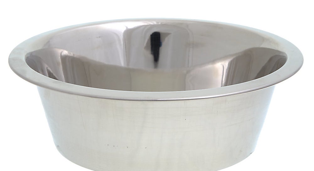 A stainless steel dog bowl