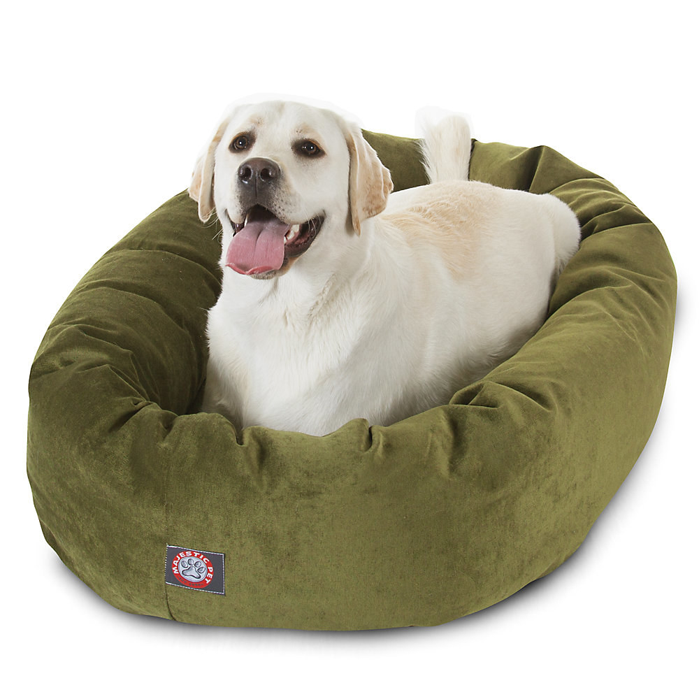 A yellow lab in an olive green bed