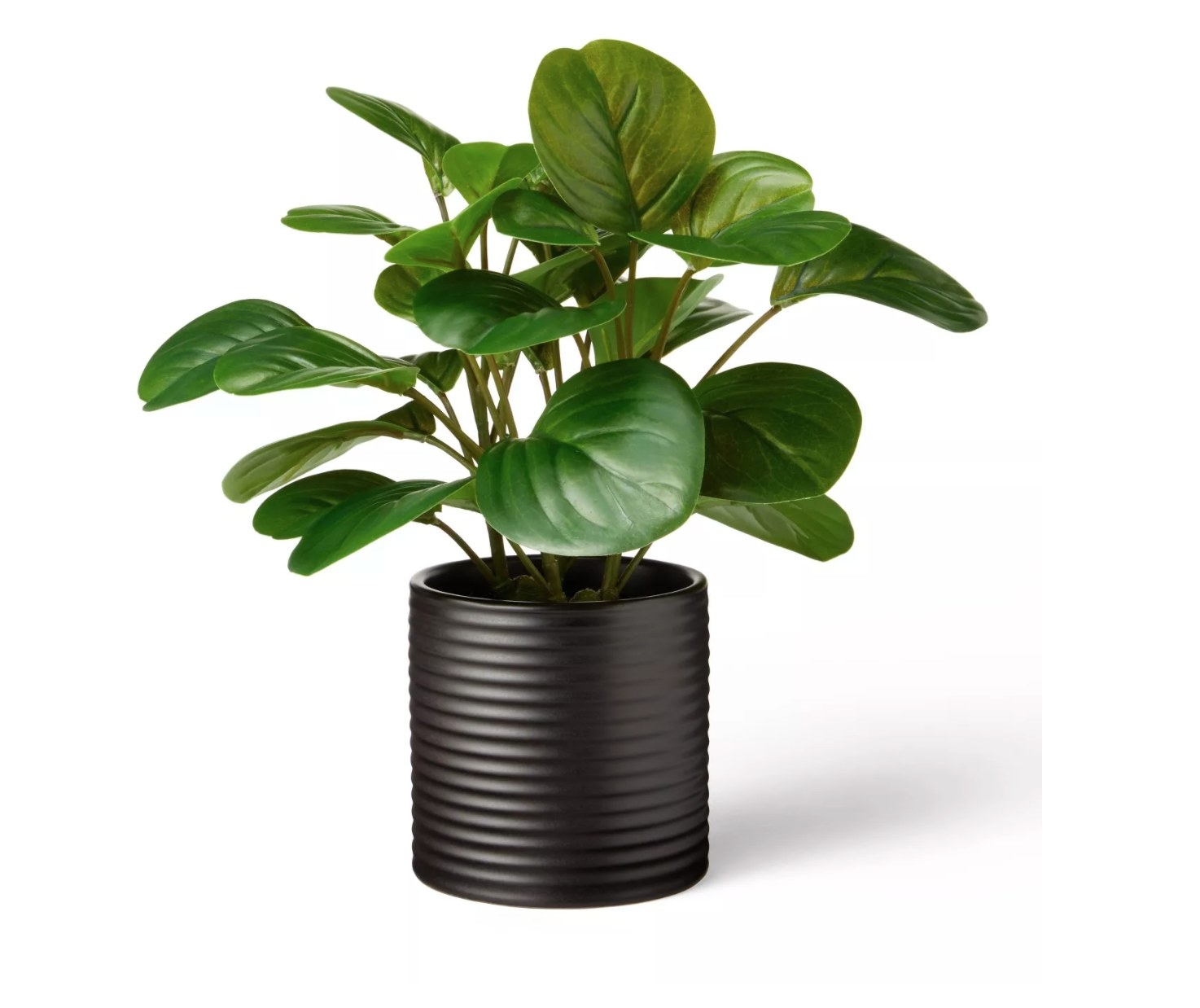 the artificial Peromia plant in a black ribbed ceramic pot
