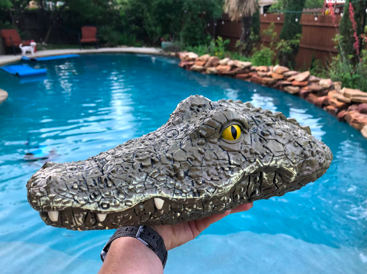 person holding the crocodile head in hand