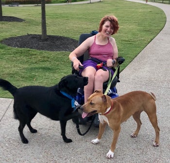 a person in a wheelchair wearing the hands-free dog leash connected to two medium dogs