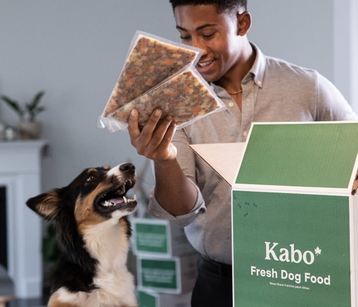 A person showing their dog the dog food that came out of a Kabo subscription box