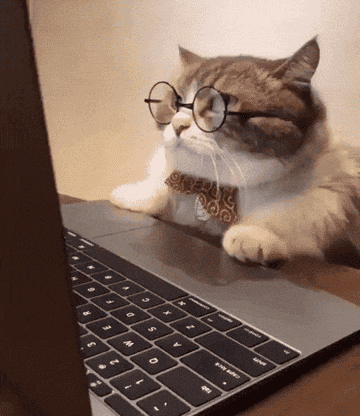 A bespectacled cat is shocked at something they see on a laptop screen