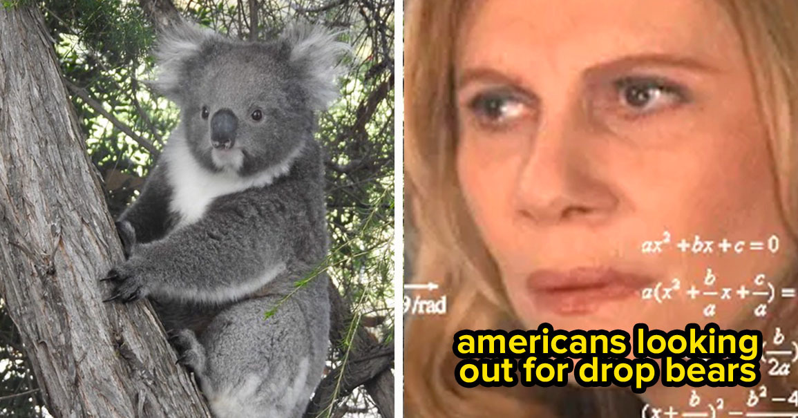 Australia's Deadliest Creature - DROP BEARS! 