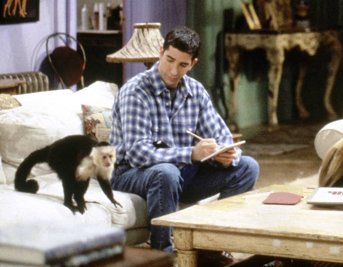 Ross looks down at the monkey while taking notes