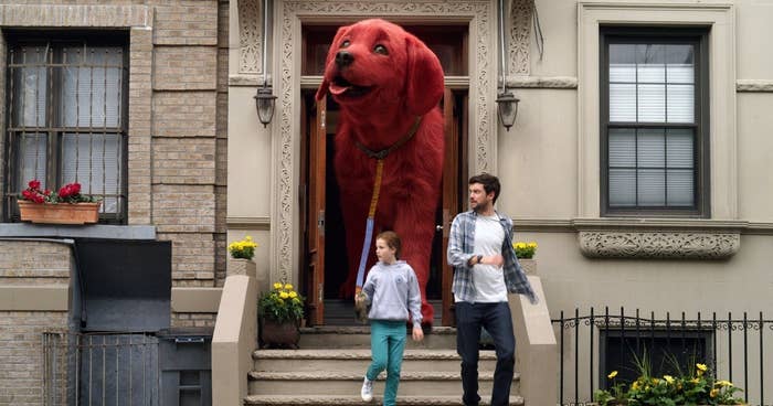 Clifford standing in a doorway as he&#x27;s being led outside by his leash