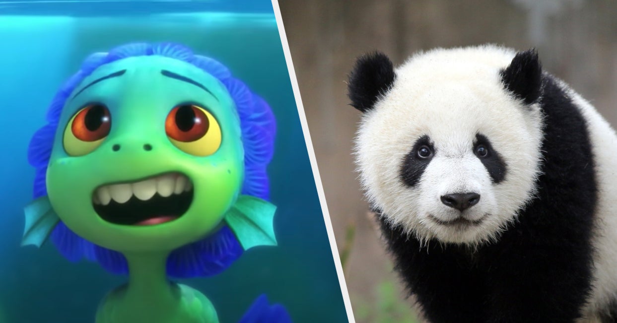 Pick Your Favorite Animals To See Which