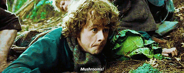 Frodo looking at mushrooms in &quot;Lord of the Rings.&quot;