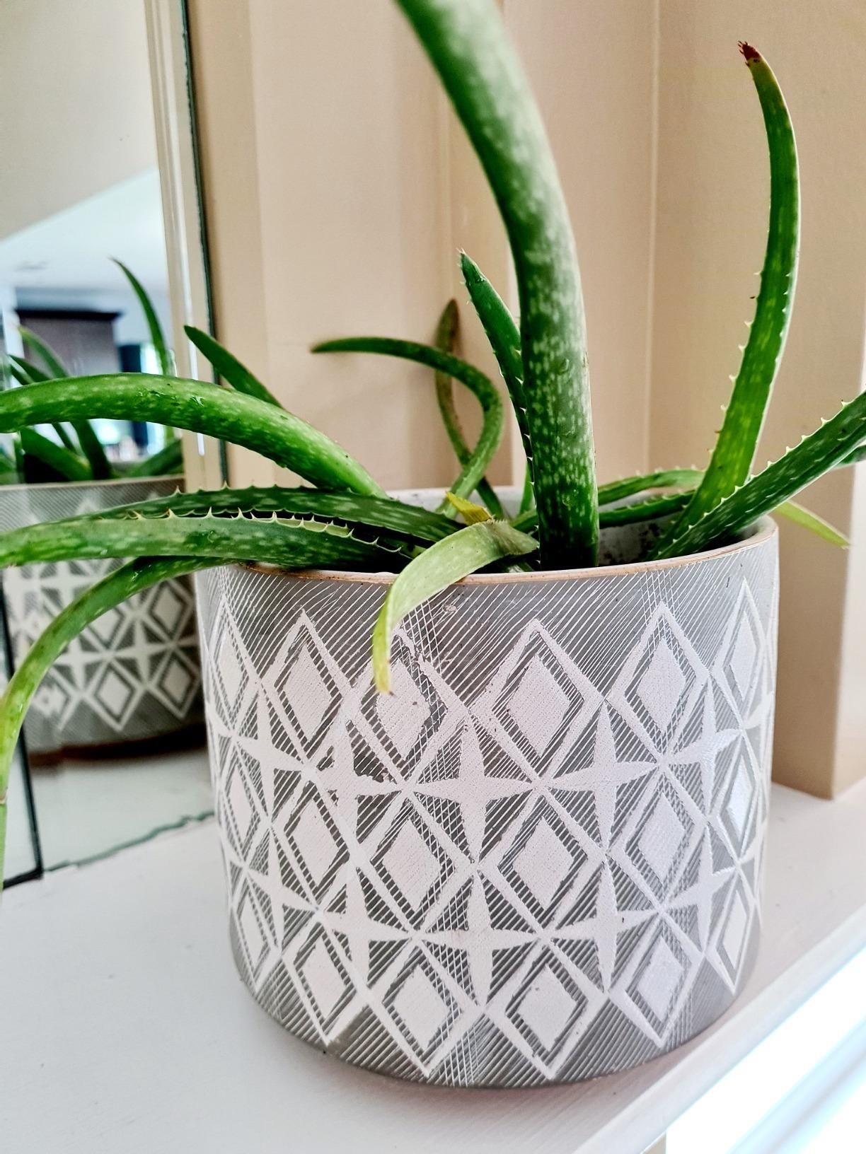Reviewer&#x27;s grey and white planter has a groovy pattern