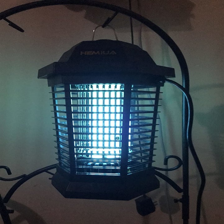 reviewer image of the outdoor bug zapper