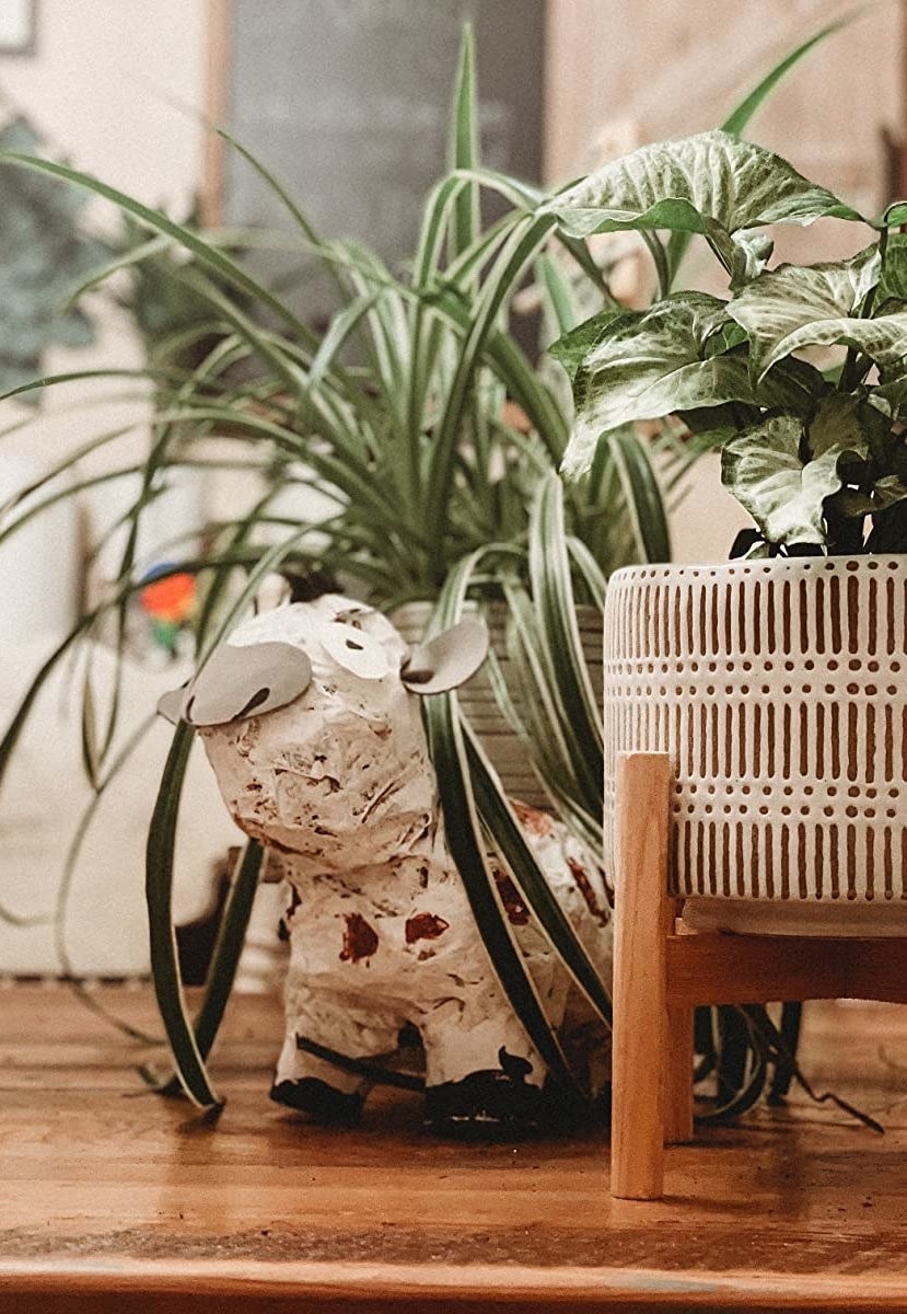 The 25 Cutest Pots And Planters For All Of That Gardening You're Doing